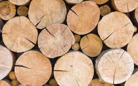 Mtib abbreviation stands for malaysia timber industry board. Malaysian Wood Products Exports Likely To Drop In 2018 Timber Industry News
