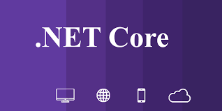 what is net core a complete ysis