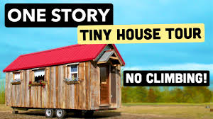 charming rustic tiny house with one