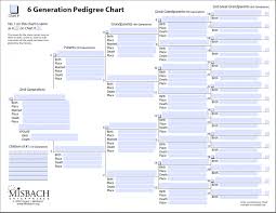 Incredible Family Tree Maker Templates Template Ideas