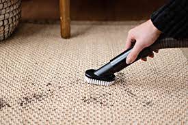 how to clean a sisal carpet storables