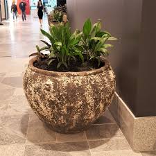 Westfield Coomera Pots And Planters