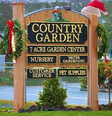 christmas at country garden hyannis