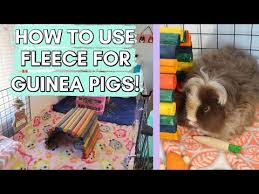 How To Use Fleece For Guinea Pigs How