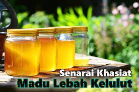 It has become a very important product of. Senarai Khasiat Madu Lebah Kelulut Yang Patut Kita Tahu