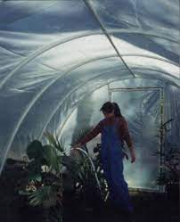 Plans For An Arched Pvc Pipe Greenhouse
