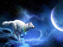 Wallpapers tagged with this tag. Fantasy Wallpaper Fantasy 3 Fantasy Wolf Wolf Wallpaper Animal Wallpaper