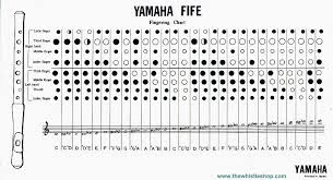 Yamaha Bass Recorder Finger Chart Bedowntowndaytona Com