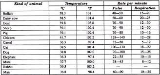 39 Logical Temperature Pulse Respiration Chart Template
