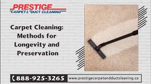 carpet cleaning methods for longevity