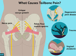 Their function is to filter blood and form urine, which is excreted. Tailbone Pain Causes Treatment And When To See A Doctor