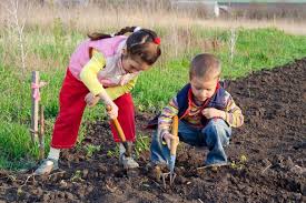 В российских школах могут появиться уроки земледелия: Новости - Летидор