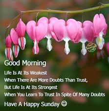 good morning have a happy sunday
