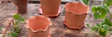 frilly terracotta plant pots little