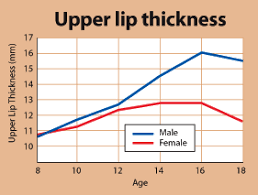 understanding aging lip changes