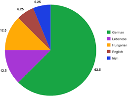 Definite Religion In Germany Pie Chart Germany Ethnic Groups