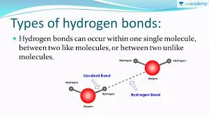 Types And Effects Of Hydrogen Bonding