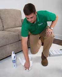 carpet cleaning waterford mi