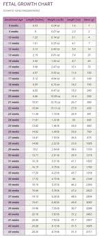 Comprehensive Normal Fetal Weight In Kg Fetal Growth Chart