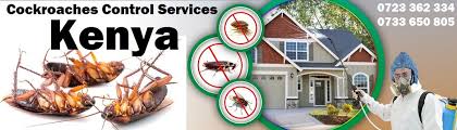 expert roaches control services