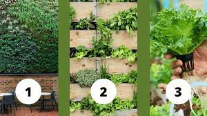 the 3 main types of vertical gardening