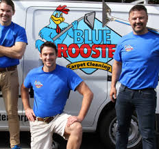blue rooster carpet cleaning project