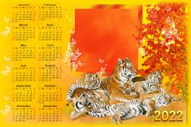 2022 autumn sinnlich calendars tiger