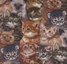 Download the most adorable kitten pictures and images for free! Kittens Fleece Fabric Fleece Fabric Print By The Yard