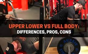 upper lower vs full body differences