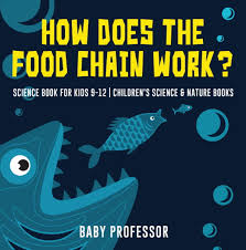 how does the food chain work science