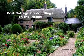 10 best cottage garden blogs and