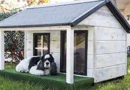 Outdoor Dog Kennels Advantages And