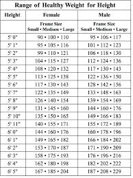Height Weight Measurement Table Conversion Counter Dining