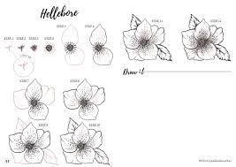 learn how to draw a ebore flower
