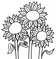 Cara mewarnai lukisan bunga matahari terbaru. Cara Mewarnai Gambar Bunga Matahari Gambar Mewarnai Bunga