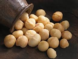 Ini Alasan Kacang Macadamia Harganya Termahal di Dunia