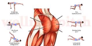 The glutes diagram gluteal muscles glutes anatomy drawings pare thigh muscle diagram sore glute upper hip pain learn thigh muscle diagram between sore glute and gluteal tear that thigh. Gluteus Maximus Medius And Minimus Workout 2021 Wellness Pitch