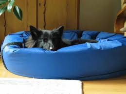 how to deep clean a dog bed tips to