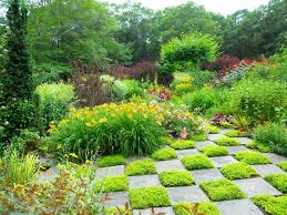 A Hot Colored Garden Andrew Grossman