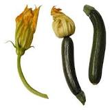 Should you remove male flowers from squash?