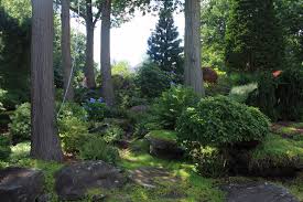 A Quiet Look At A Woodland Garden