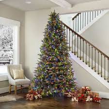 Shop theporchswingcompany.com for the lowest price and free shipping on the wood swings co. Christmas Trees Costco