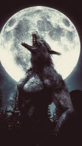 top 24 best werewolf wallpapers hq