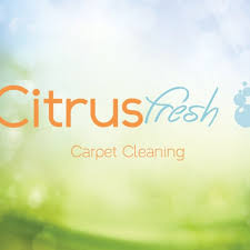 carpet cleaning in mcdonough ga