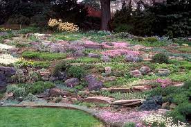 Rock Garden Plants Landscaping With