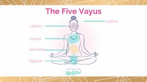 jalandhara bandha 4 reasons yogis