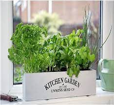 Unwins Herb Kitchen Garden Seed Kit For