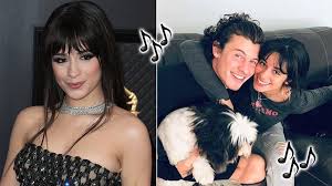 The participation gave them a joint record deal with syco music and epic records. Camila Cabello In The Studio With Boyfriend Shawn Mendes Producers As She Works On Capital