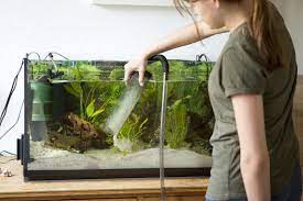 standard fish tank sizes made simple