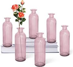 Paisener Bud Vase Set Of 6 Small Glass